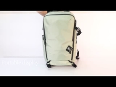 Wat is de beste reisgenoot?